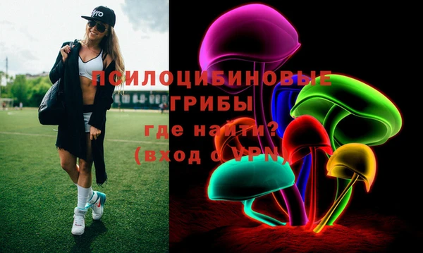 твердый Саяногорск